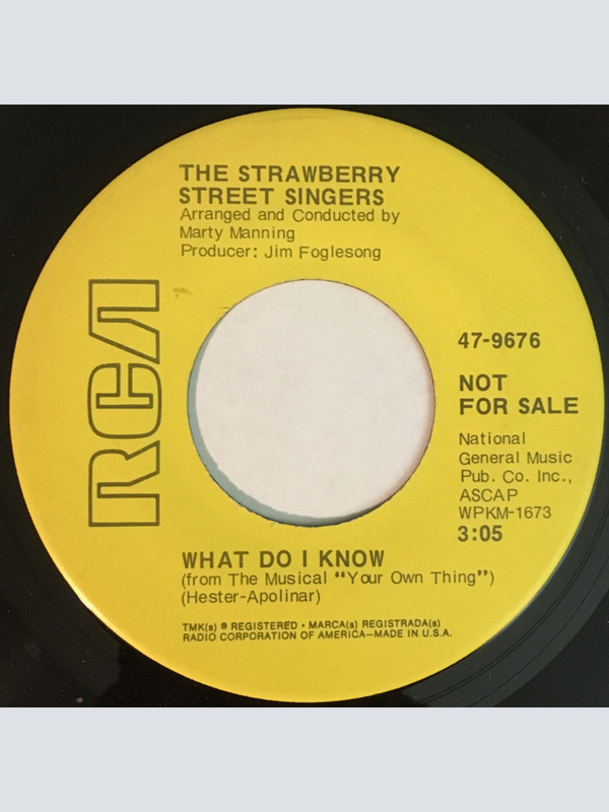 Vinyl / The Strawberry Street Singers - Maggie Flynn