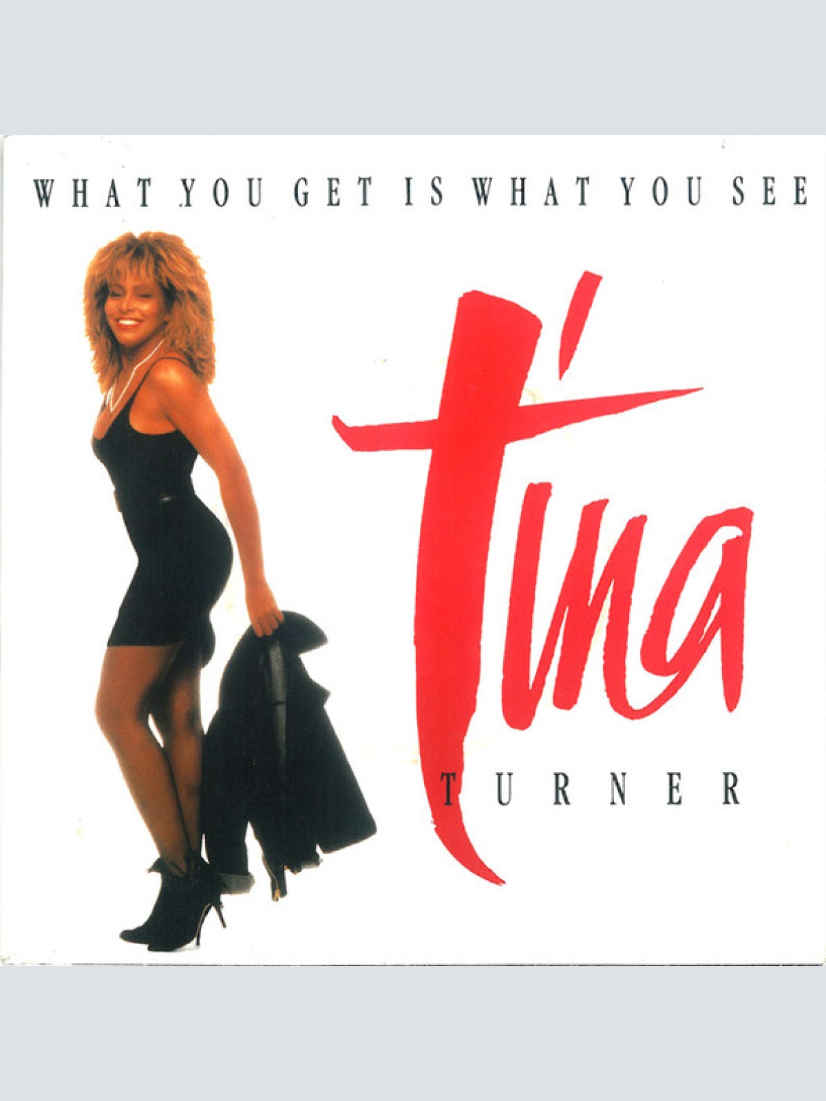 Vinyl / Tina Turner - What You Get Is What You See