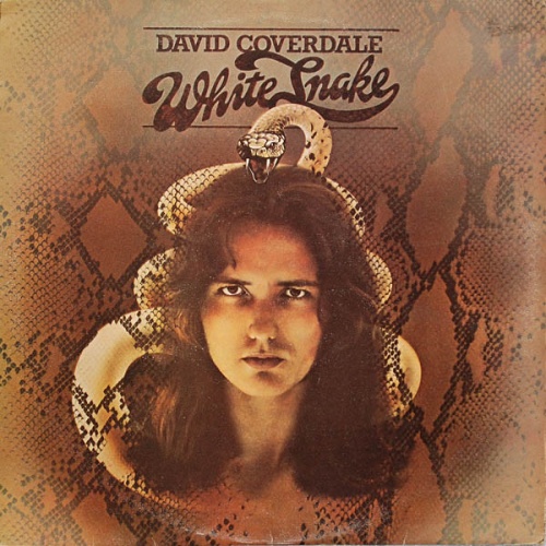 Vinyl / David Coverdale - Whitesnake