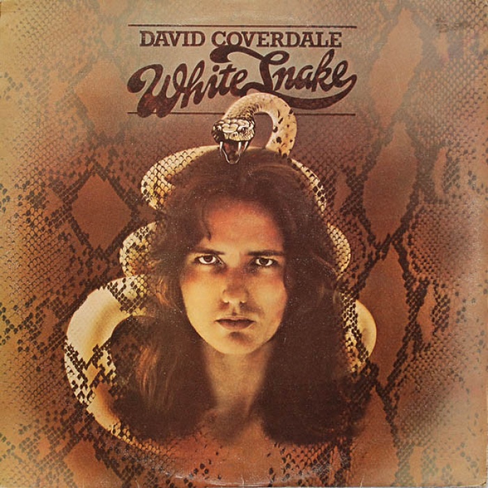 Vinyl / David Coverdale - Whitesnake