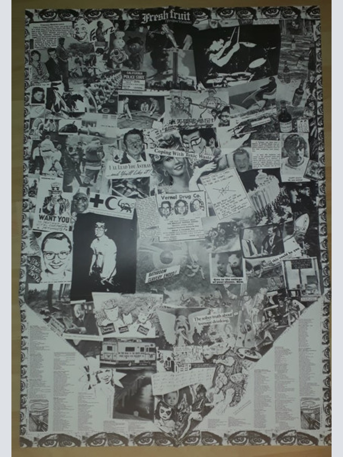 Vinyl / Dead Kennedys - Fresh Fruit For Rotting Vegetables