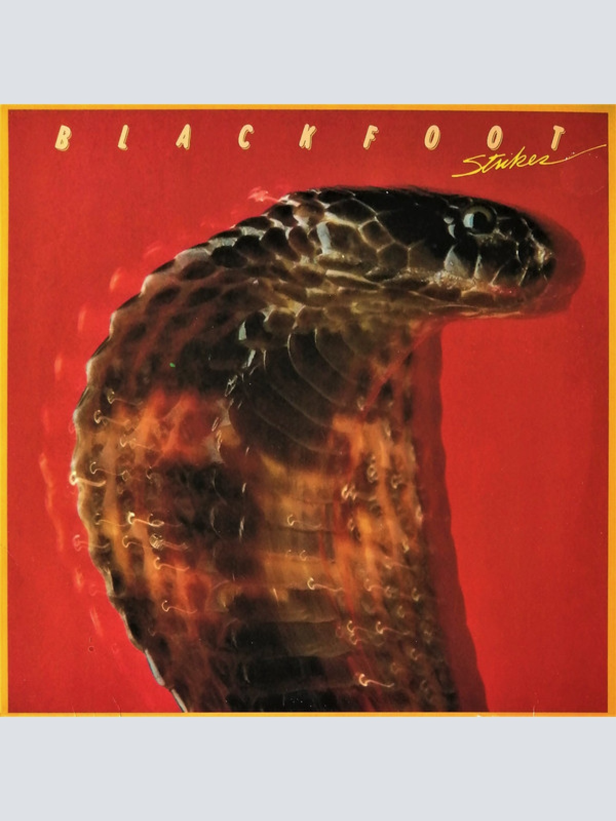 Vinyl / Blackfoot (3) - Strikes