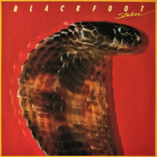 Vinyl / Blackfoot (3) - Strikes