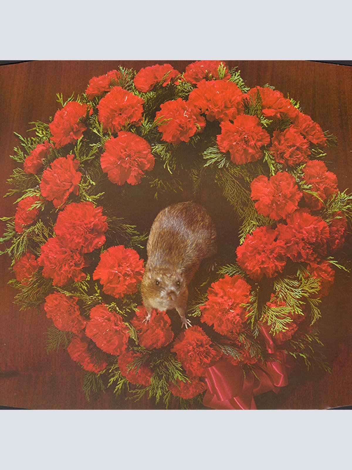 Vinyl / The Stranglers - Stranglers IV No More Heroes