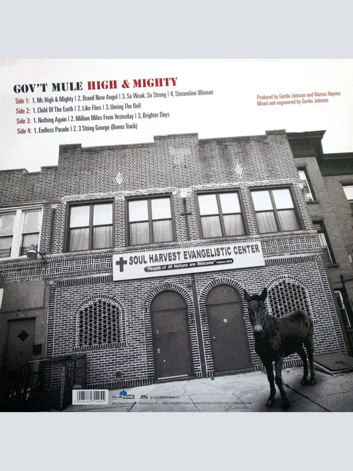 Vinyl / Gov't Mule - High & Mighty