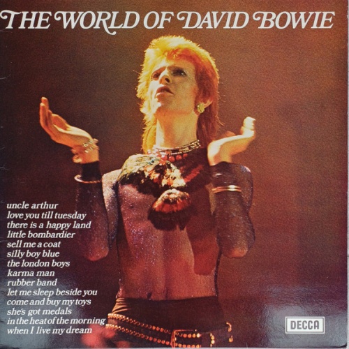 Vinyl / David Bowie - The World Of David Bowie
