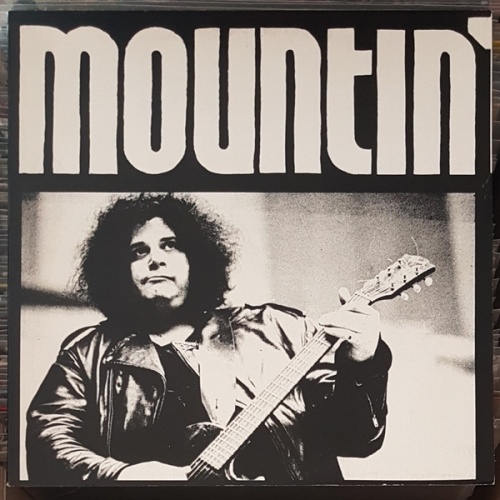 Vinyl / Mountin'* - Sleighride To N. Y. City