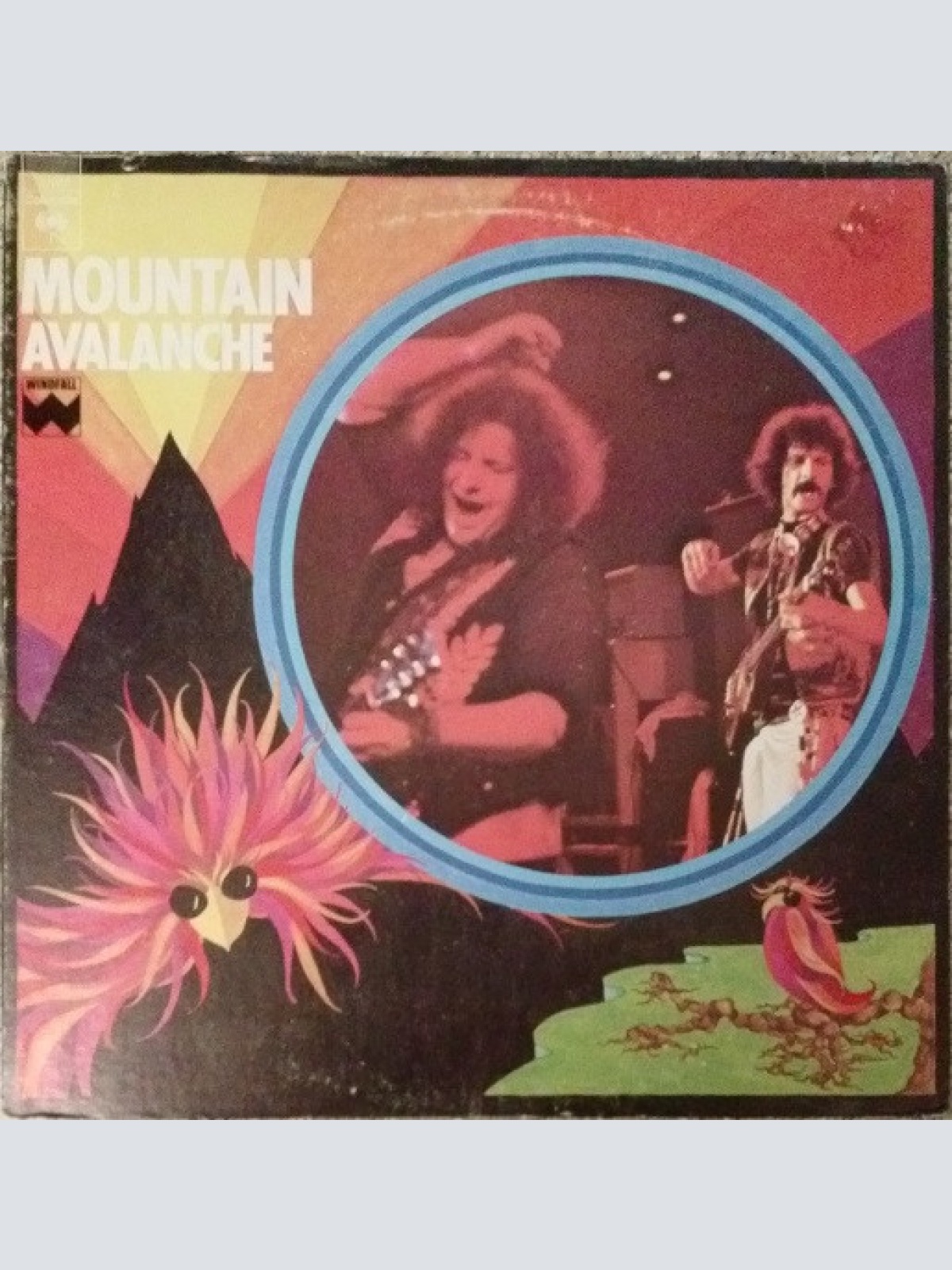 Vinyl / Mountain - Avalanche