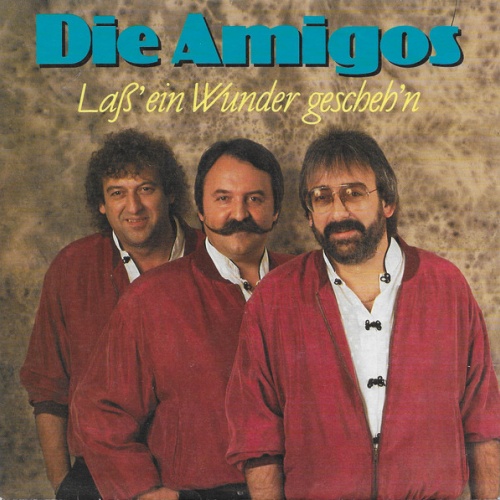 Vinyl / Die Amigos* - Laß' Ein Wunder Gescheh'n