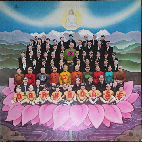 Vinyl / George Harrison - Dark Horse