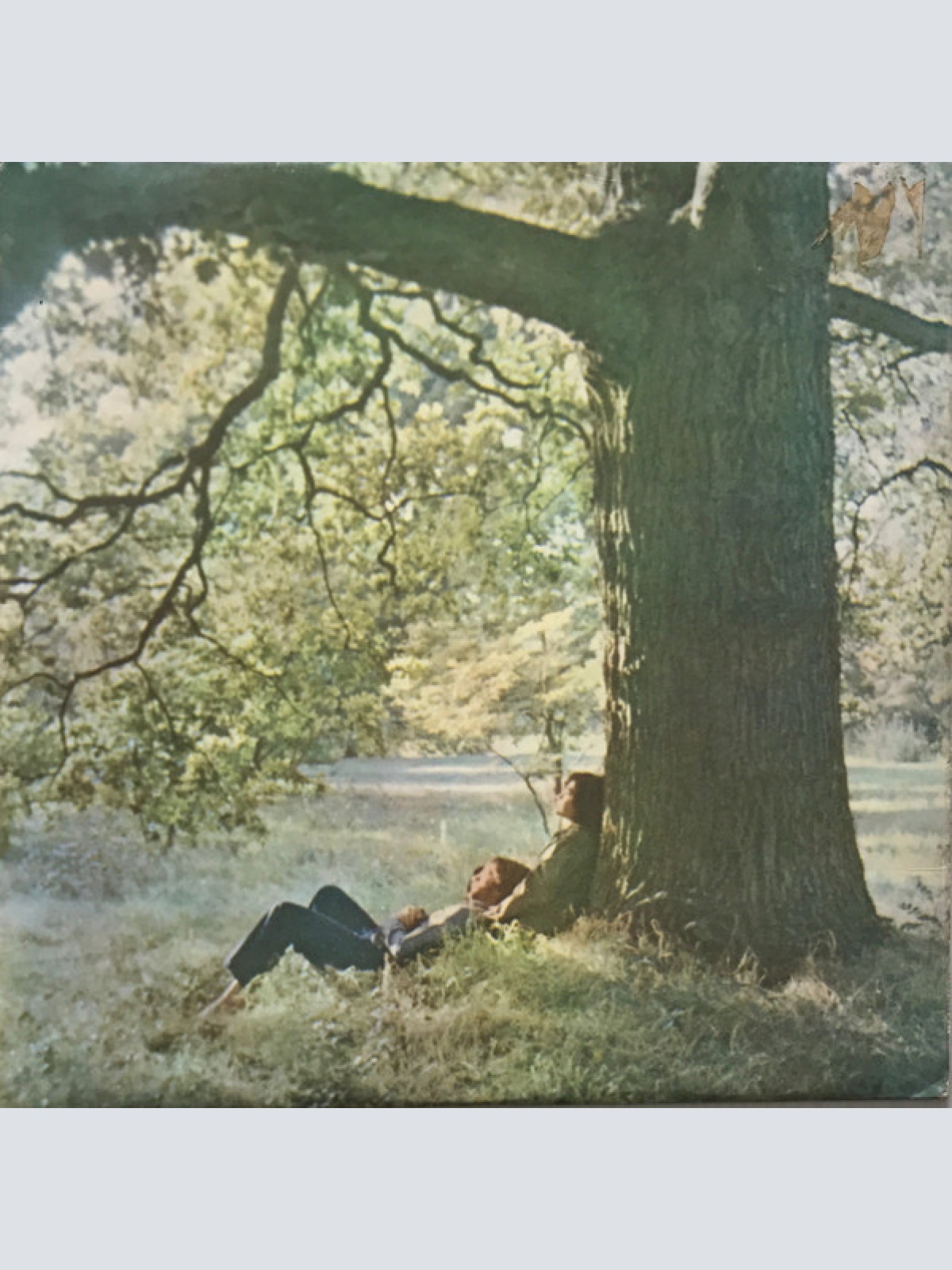 Vinyl / John Lennon / Plastic Ono Band* - John Lennon / Plastic Ono Band