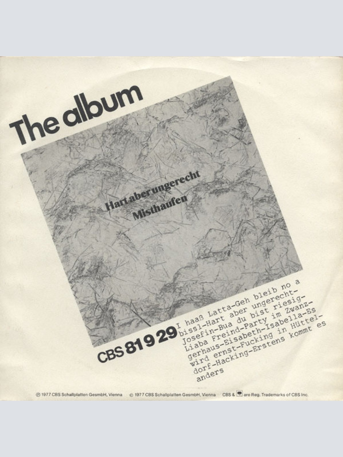 Vinyl / Misthaufen - I Haaß Latta / Liaba Freind