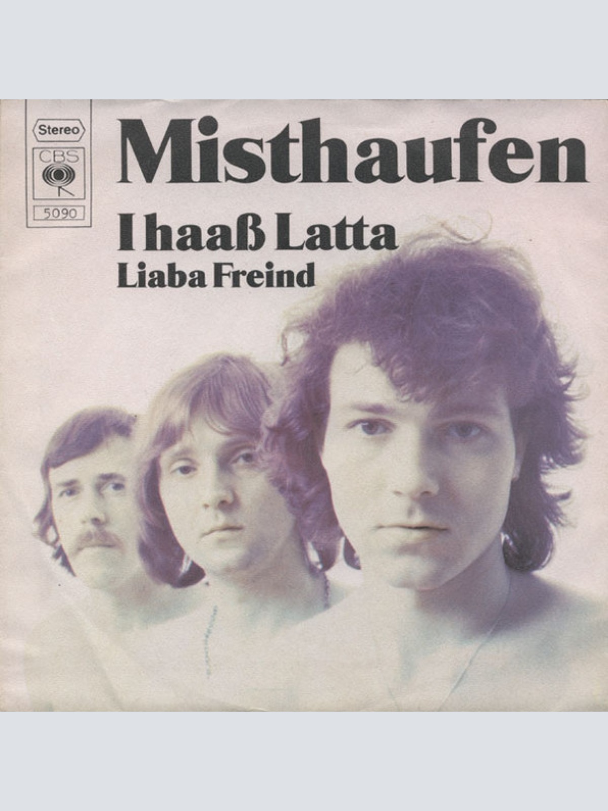 Vinyl / Misthaufen - I Haaß Latta / Liaba Freind