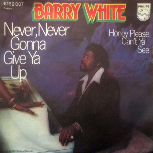Vinyl / Barry White - Never, Never Gonna Give Ya Up