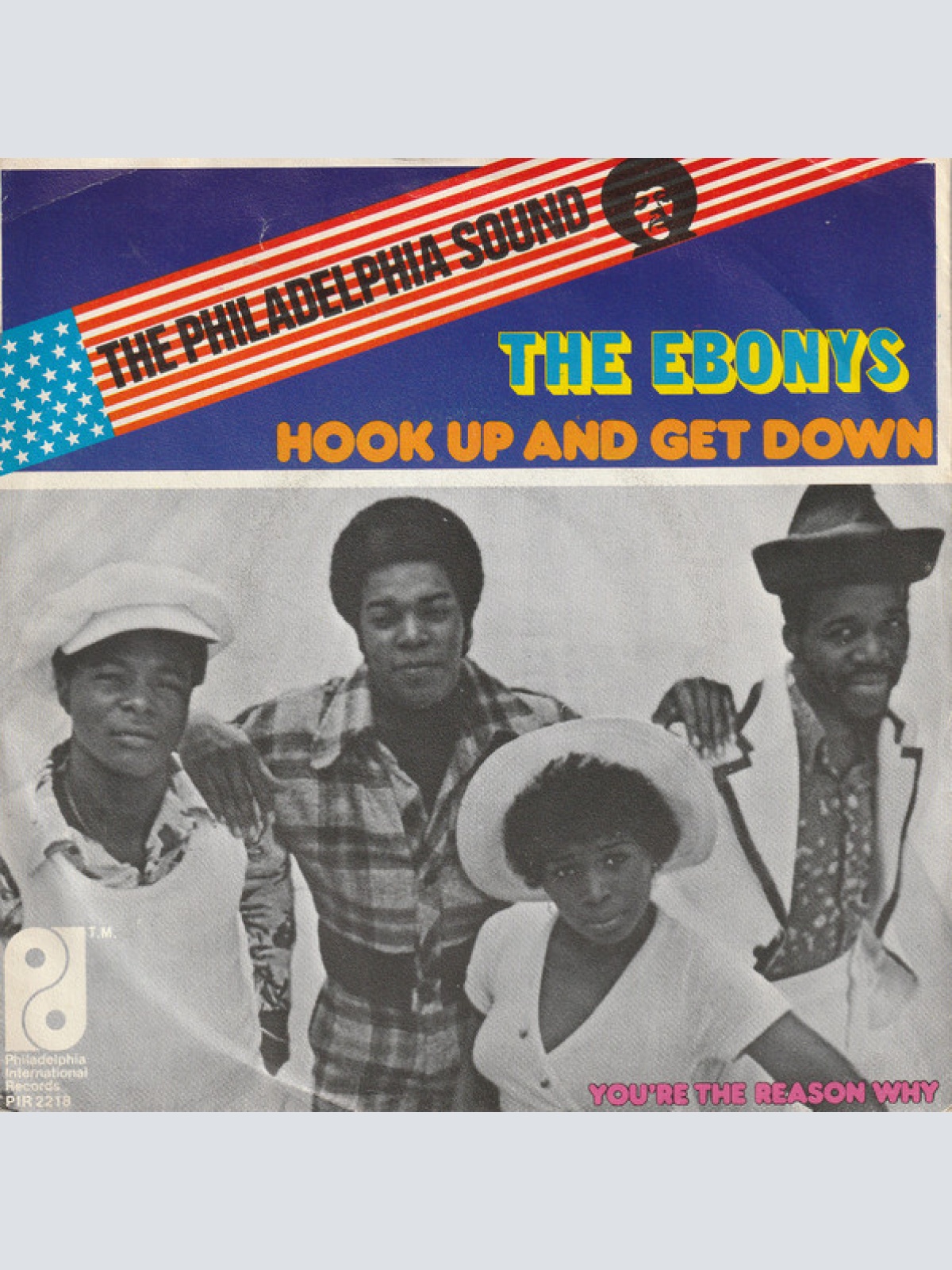 Vinyl / The Ebonys - Hook Up And Get Down