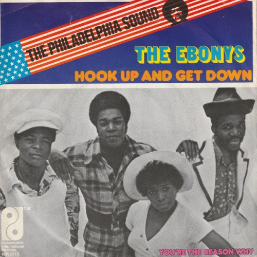 Vinyl / The Ebonys - Hook Up And Get Down