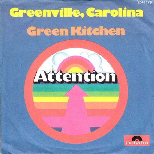 Vinyl / Attention (6) - Greenville, Carolina