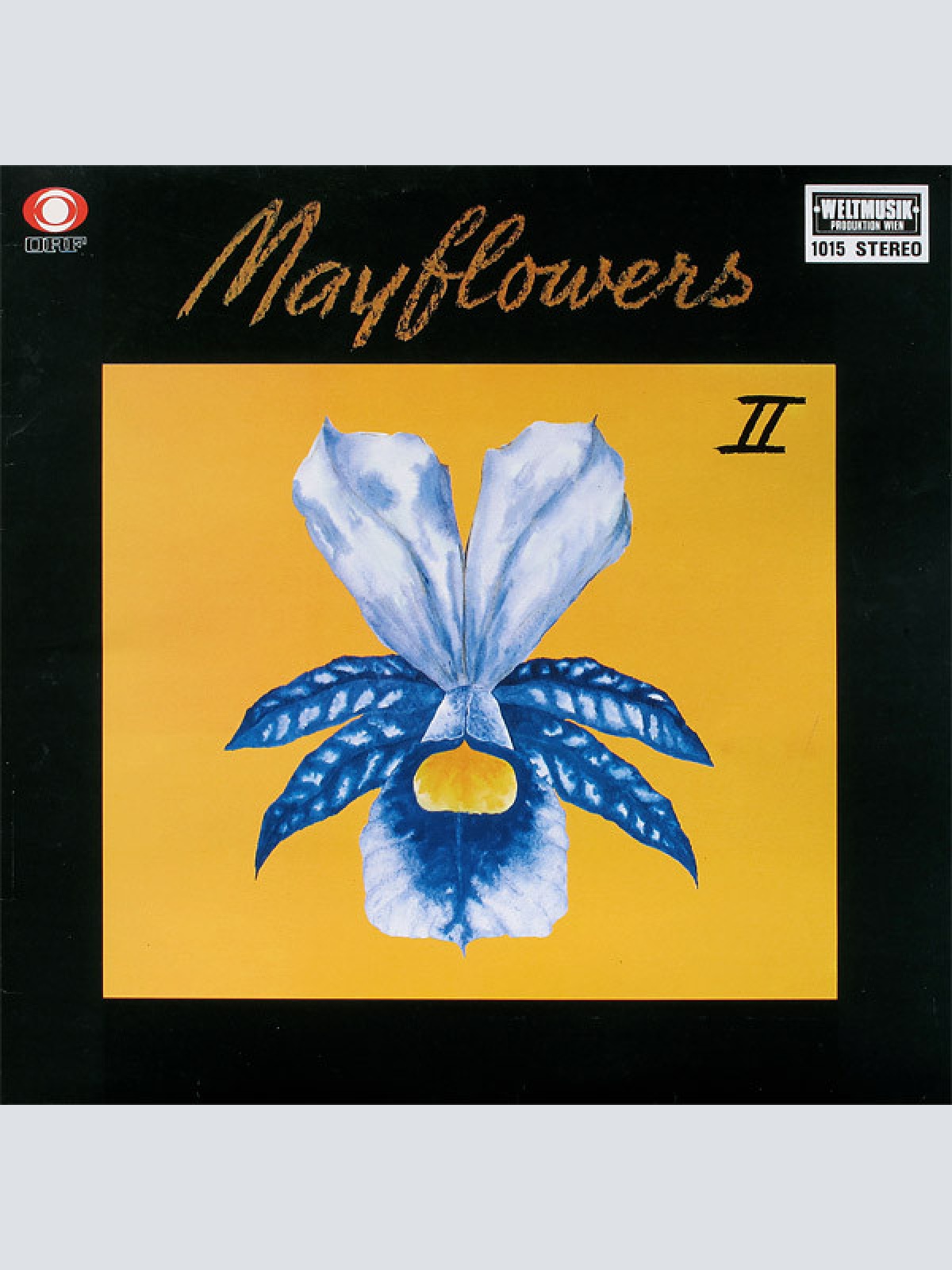 Vinyl / Mayflower Orchestra - Mayflowers II