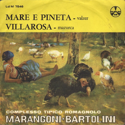 Vinyl / Complesso Tipico Romagnolo MARANGONI • BARTOLINI - Mare E Pineta / Villarosa
