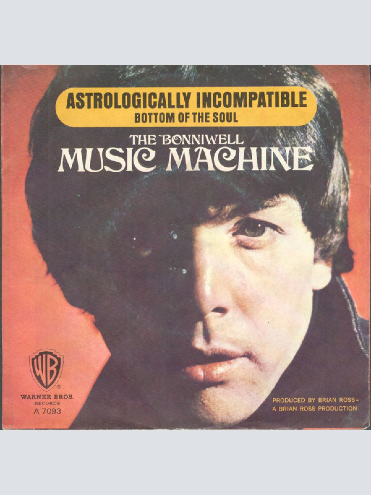 Vinyl / The Bonniwell Music Machine* - Bottom Of The Soul