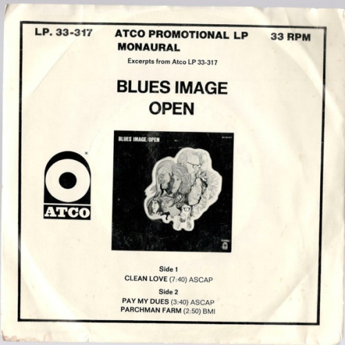 Vinyl / Blues Image - Open