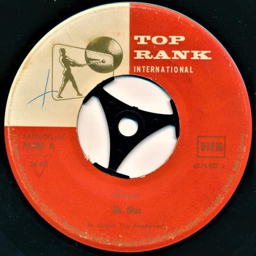 Vinyl / The Fleetwoods - Mr. Blue