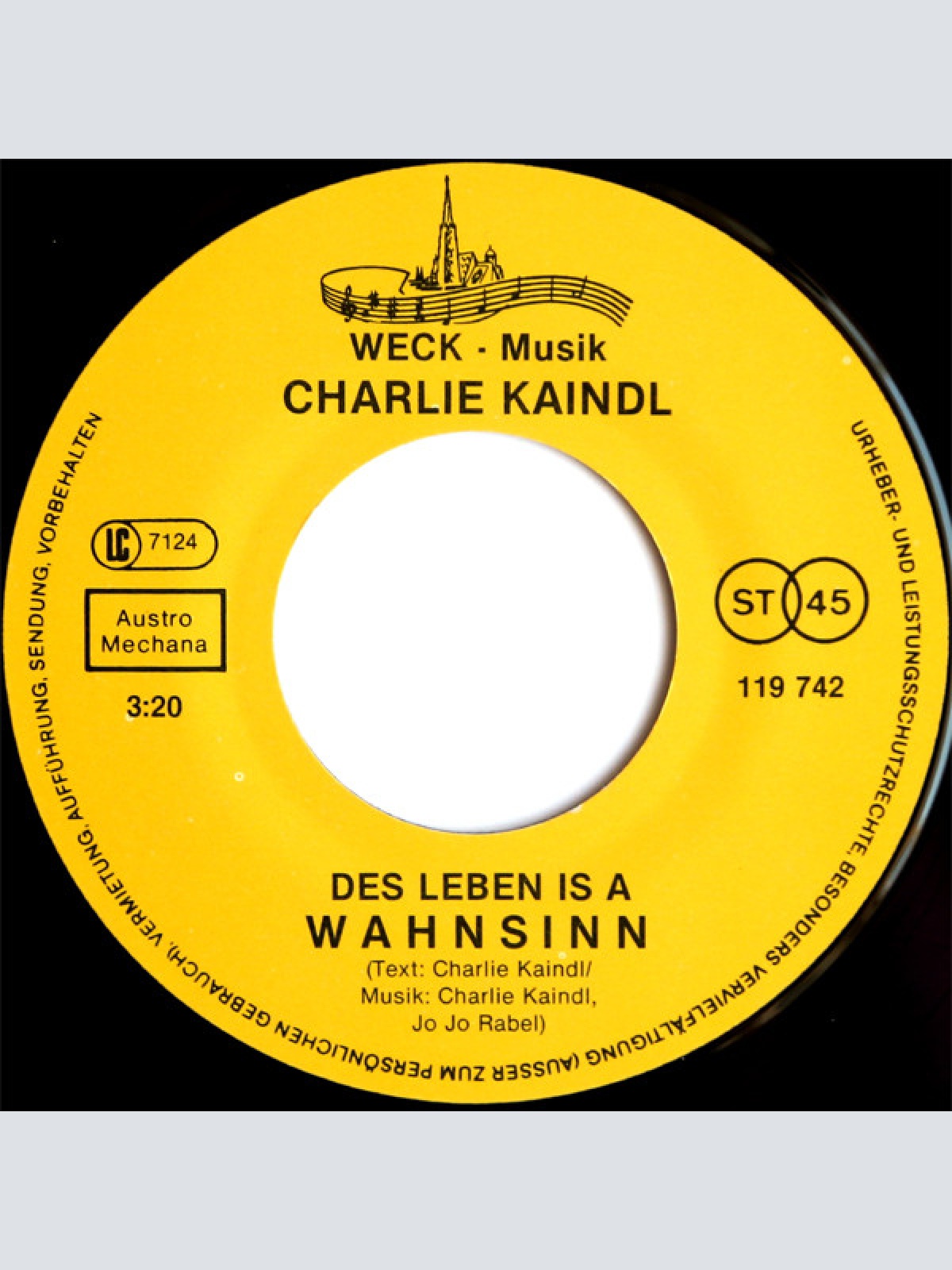 Vinyl / Charlie Kaindl* - Des Leben Is A Wahnsinn