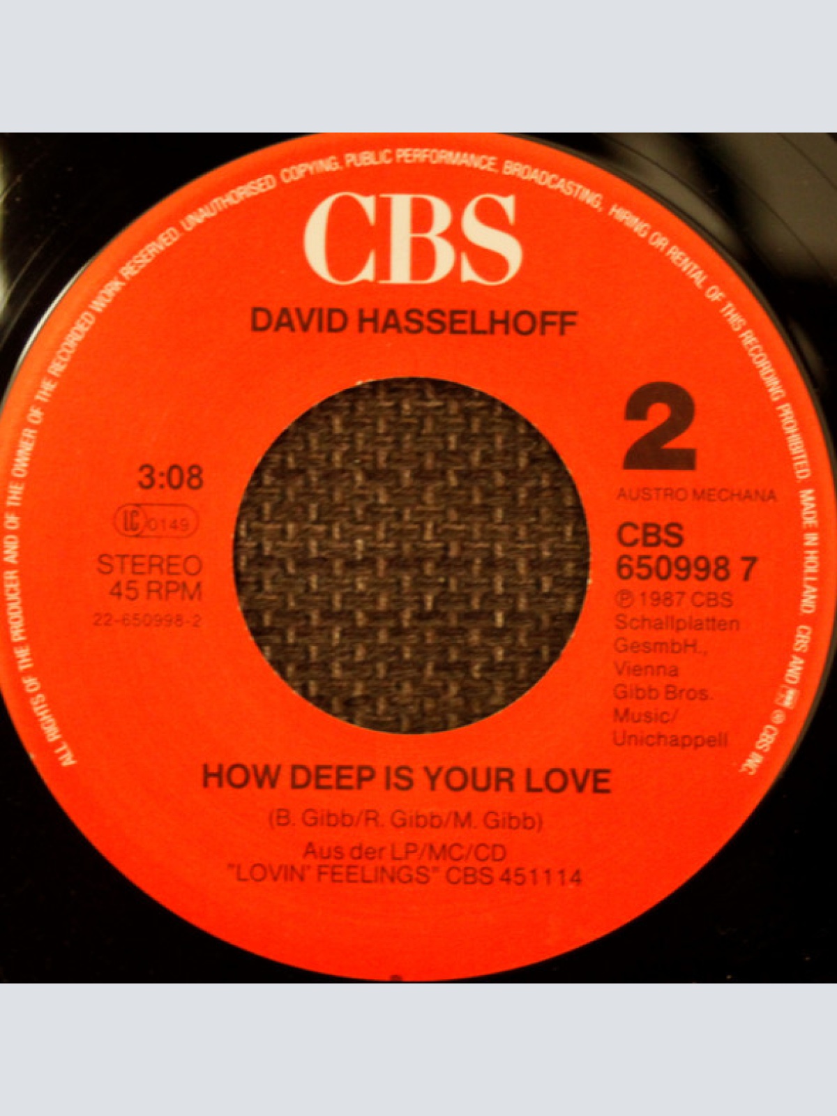 Vinyl / David Hasselhoff - Life Is Mostly Beautiful With You