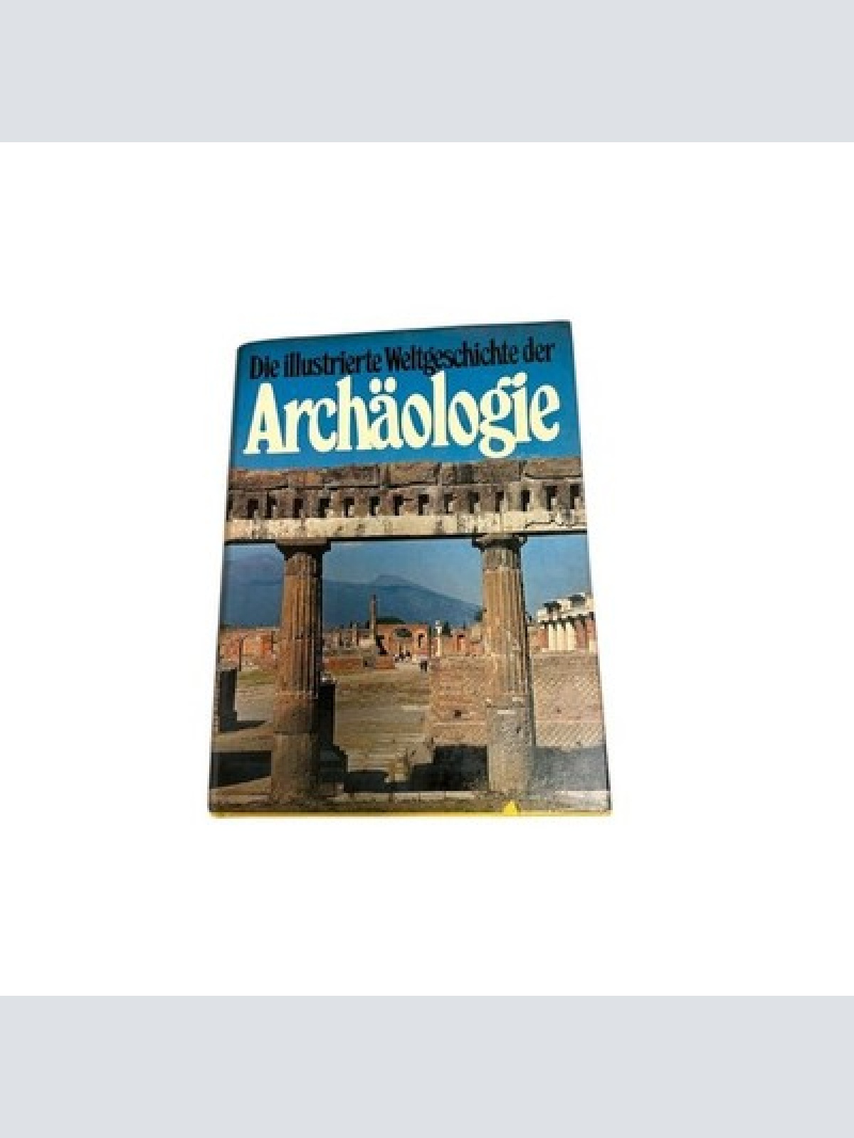 7393 Leone Fasani DIE ILLUSTRIERTE WELTGESCHICHTE DER ARCHÄOLOGIE HC +Abb