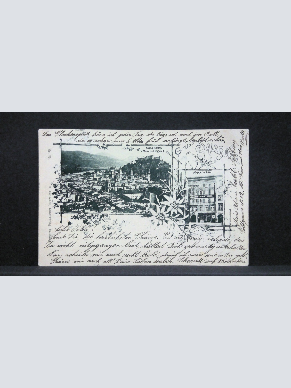 Salzburg vom Mönchsberg und Mozart-Haus Zeichnung JW165860