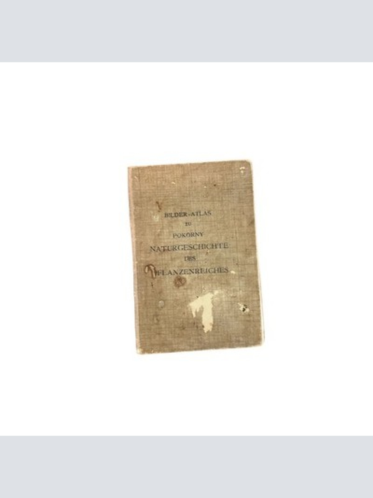6520 BILDER-ATLAS ZU POKORNY NATURGESCHICHTE DES PFLANZENREICHES +Abb