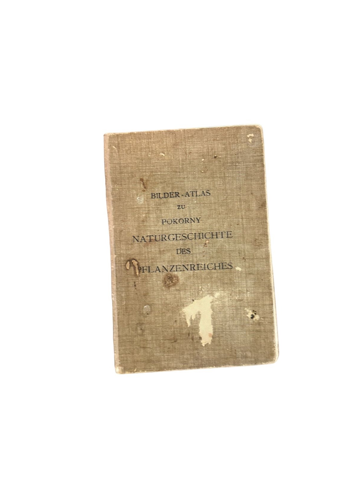 6520 BILDER-ATLAS ZU POKORNY NATURGESCHICHTE DES PFLANZENREICHES +Abb