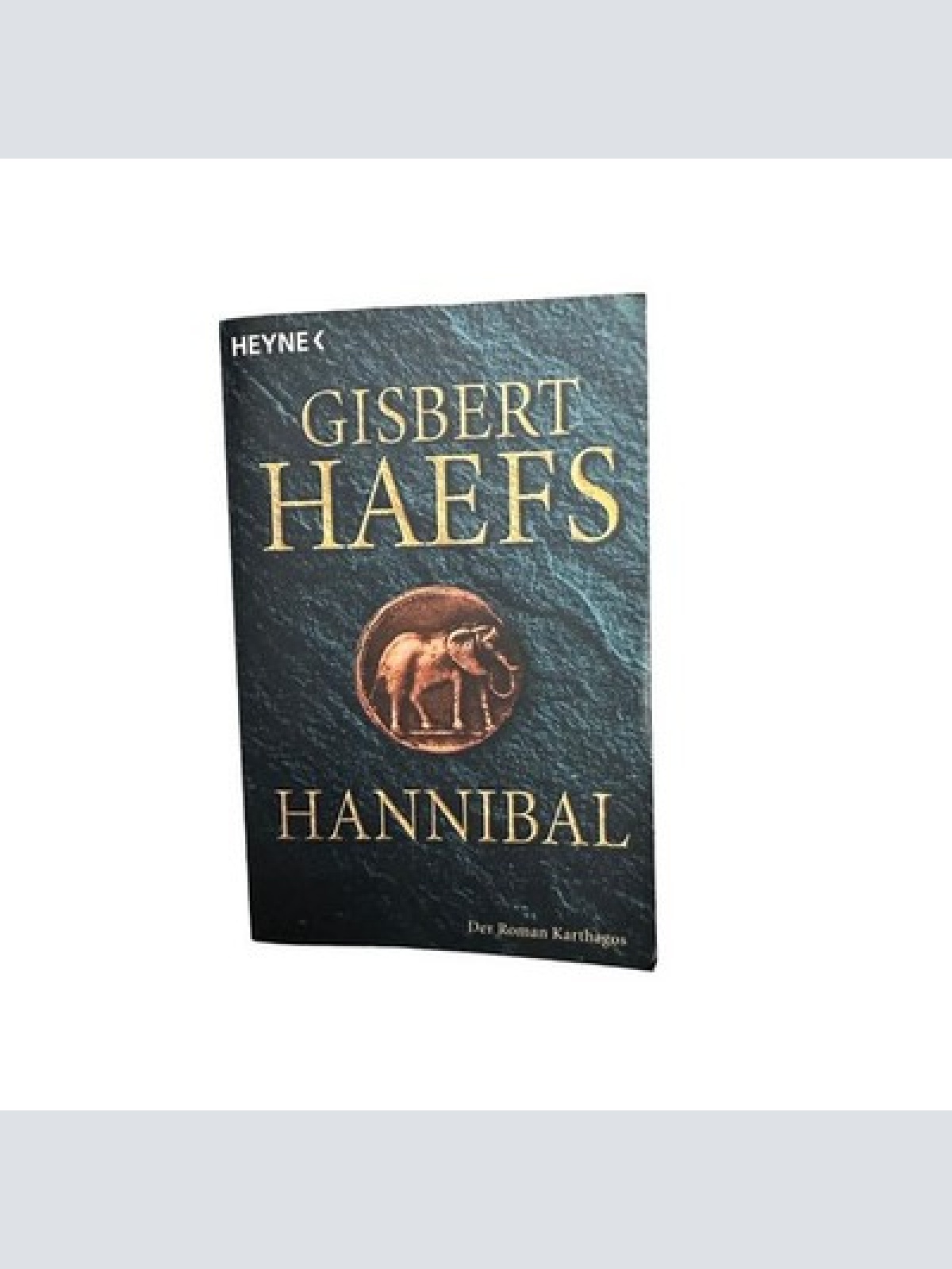 7234 Gisbert Haefs HANNIBAL: DER ROMAN KARTHAGOS Heyne