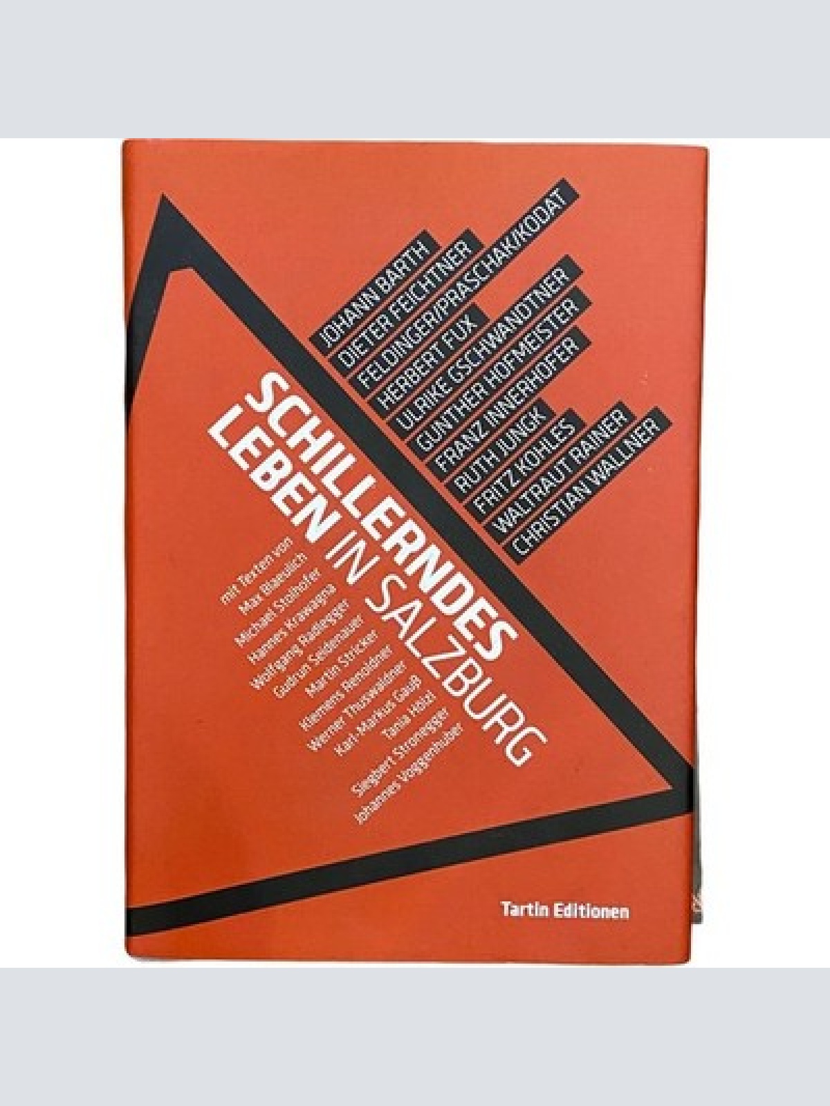 553 SCHILLERNDES LEBEN IN SALZBURG HC SEHR GUTER ZUSTAND!