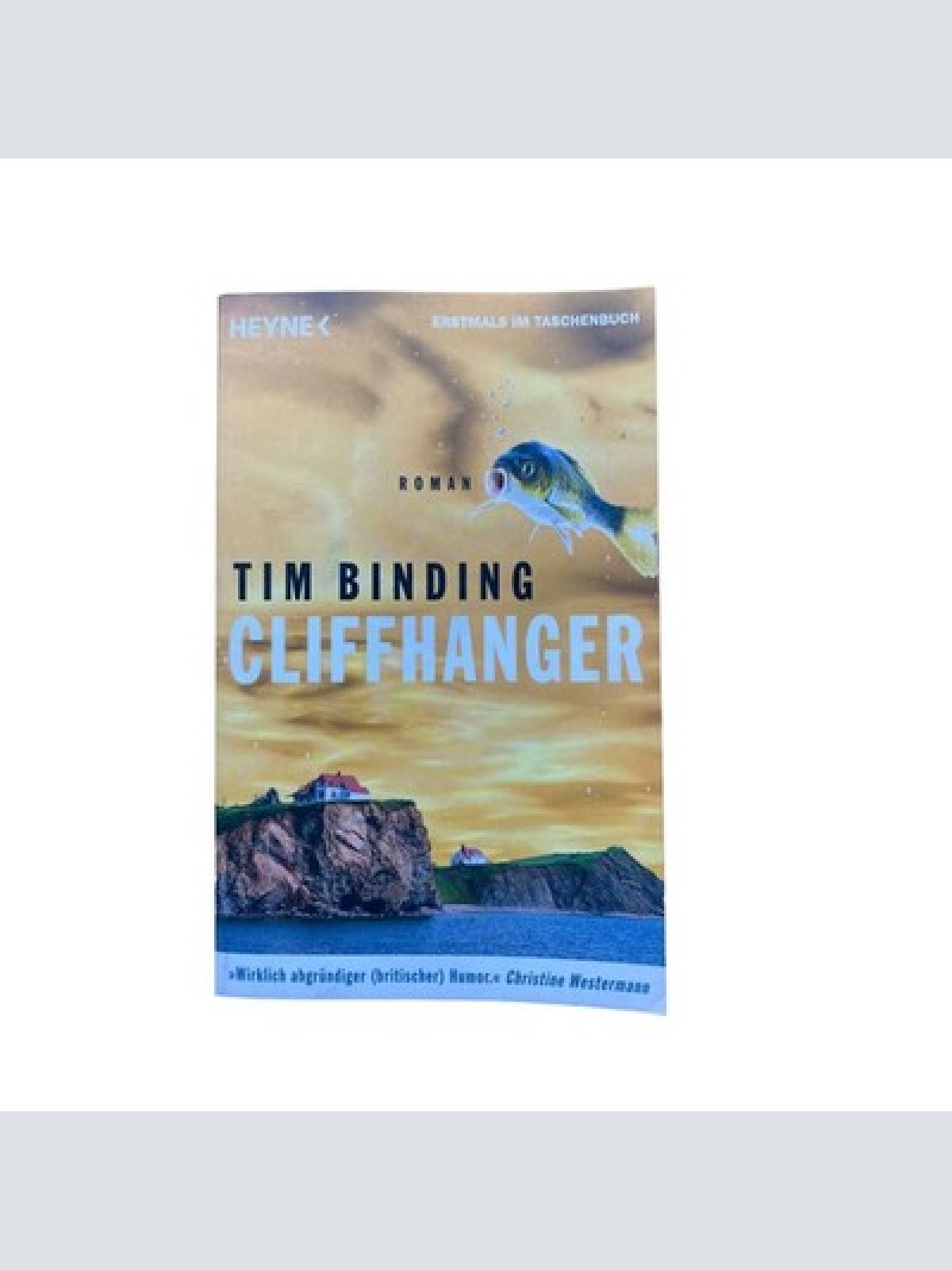 Tim Binding CLIFFHANGER Roman Heyne Verlag München +Abb