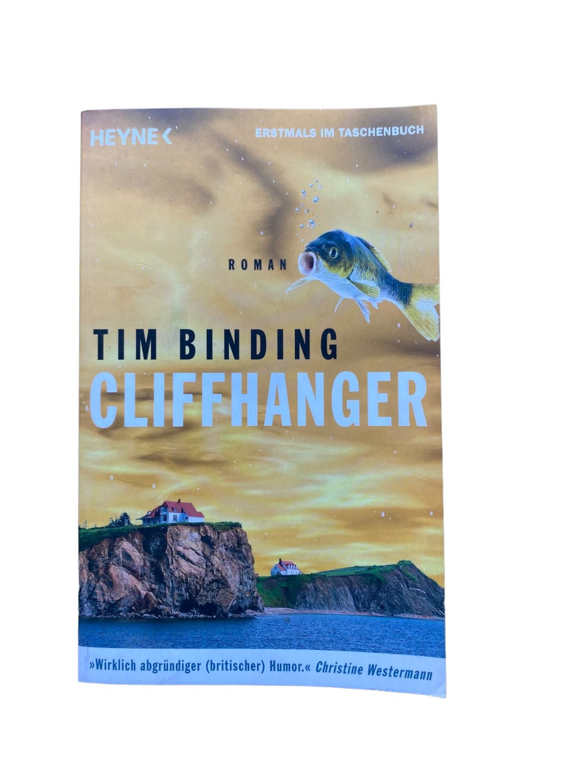 Tim Binding CLIFFHANGER Roman Heyne Verlag München +Abb