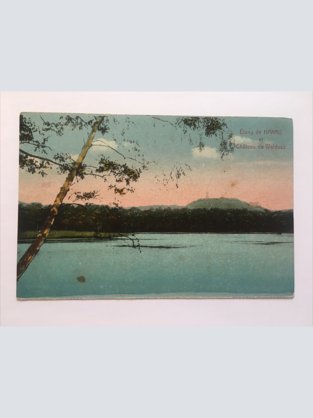 Étang de Hanau et Château de Waldeck 85006 RE