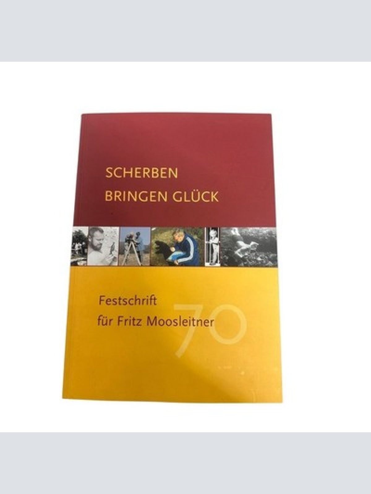 9432 Eva Maria Feldinger SCHERBEN BRINGEN GLÜCK. FESTSCHRIFT FÜR FRITZ MOOSLEITN