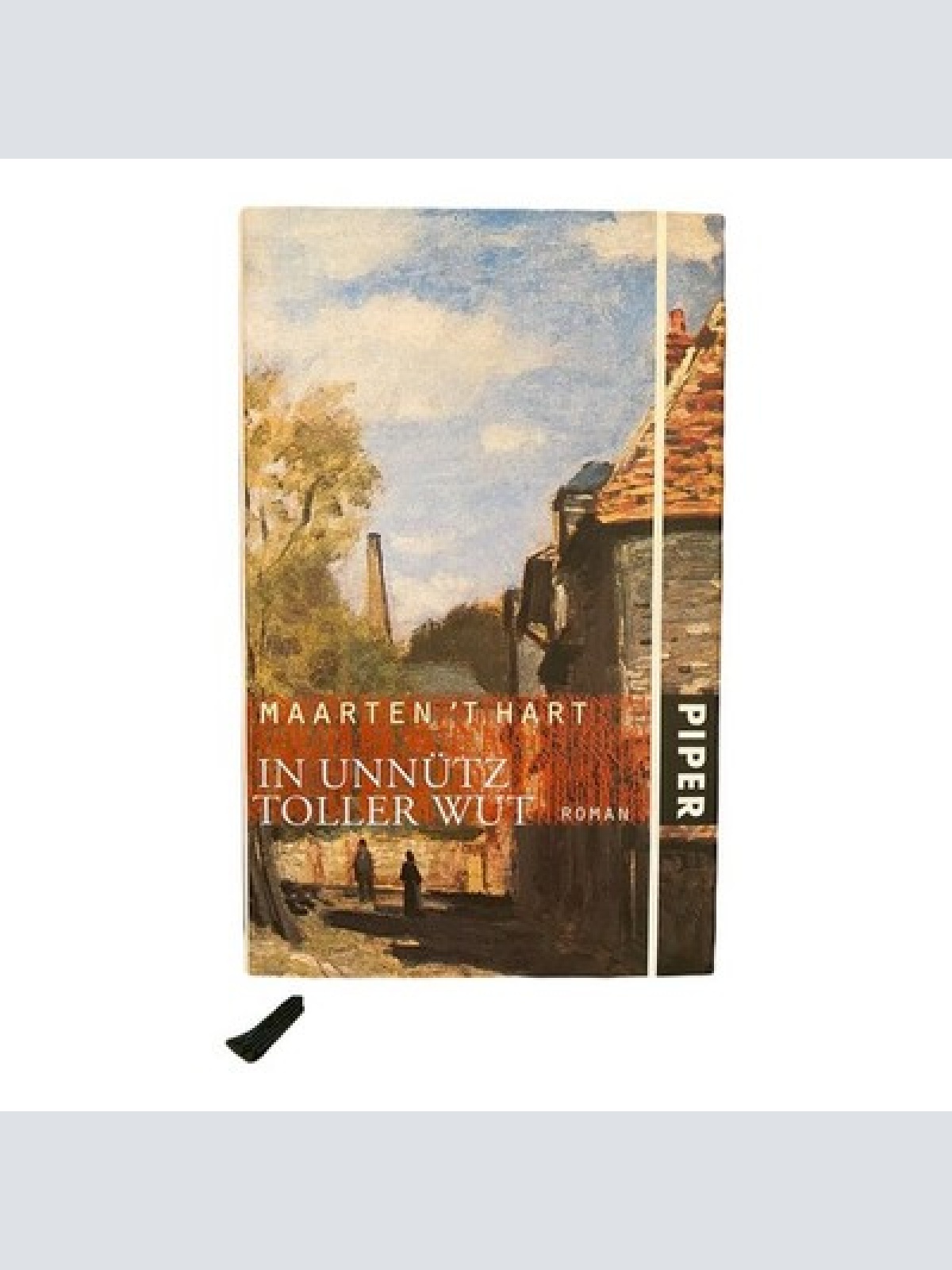 1197 Maarten T´Hart IN UNNÜTZ TOLLER WUT Roman HC NIEDERLÄNDISCHER ROMAN