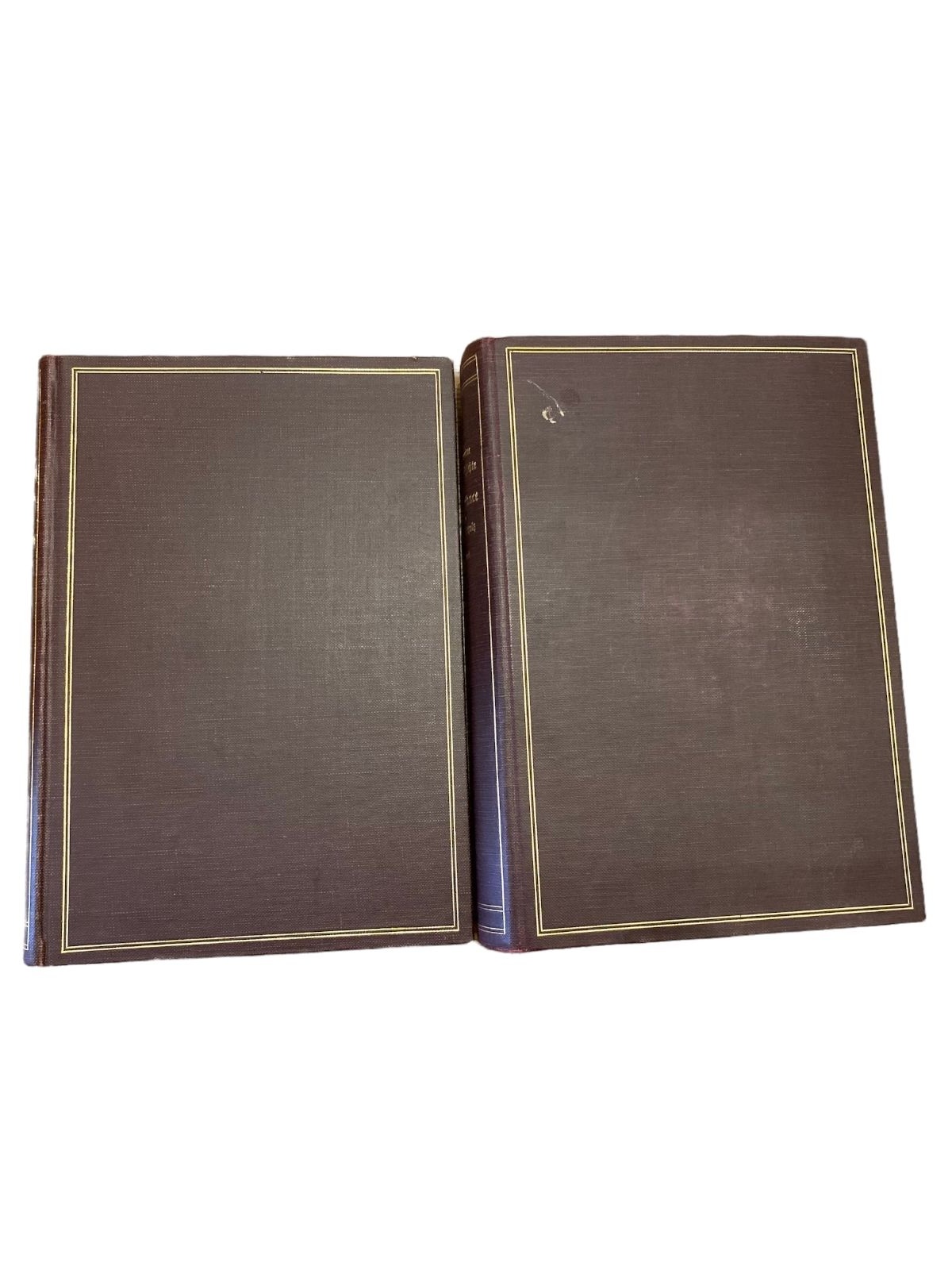 3230 Schultz ALLG. KUNSTGESCH. D. RENAISSANCE ARCHITEKTUR PLASTIK MALEREI 2 Bde