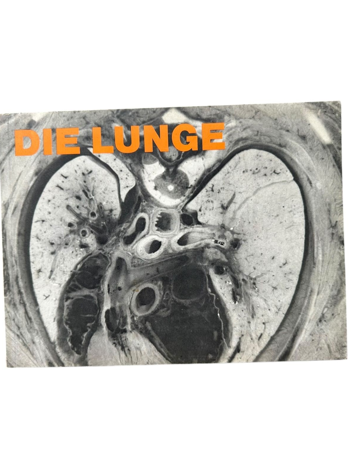 6666 Hans Elias DIE LUNGE +Abb [Hans Elias, Prof. der Anatomie an der Chicago M]