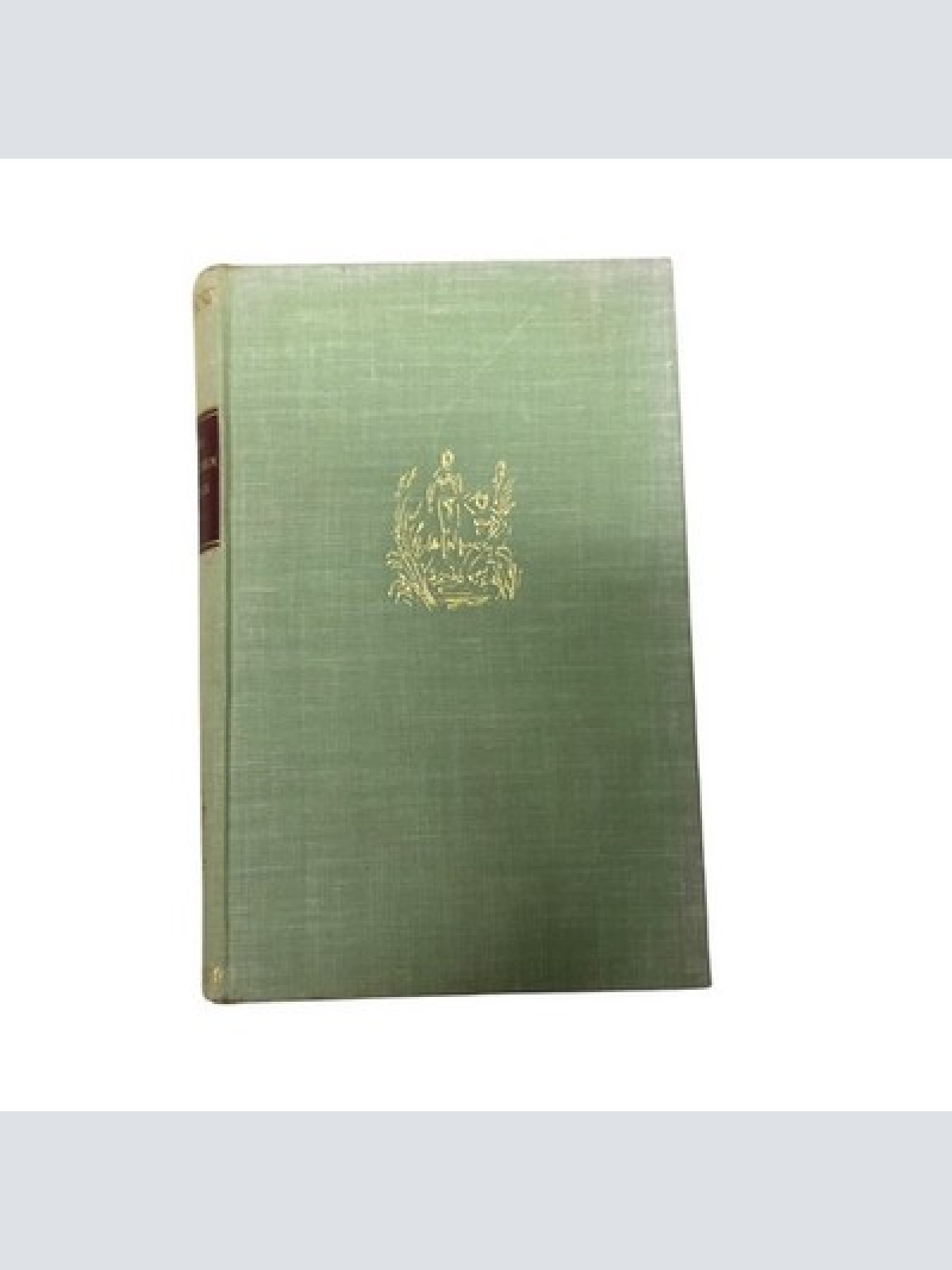 8735 Ernst M. Mungenast DIE MÄDCHEN IN DER AU Roman HC +Ilus