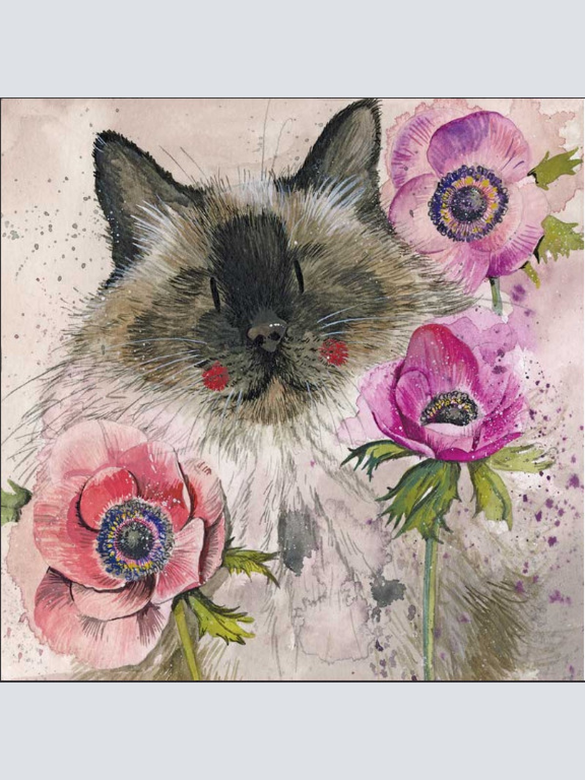 Alex Clark Katze Cat in the Anemon Grußkarte  140x140 mm incl. Umschlag  0014