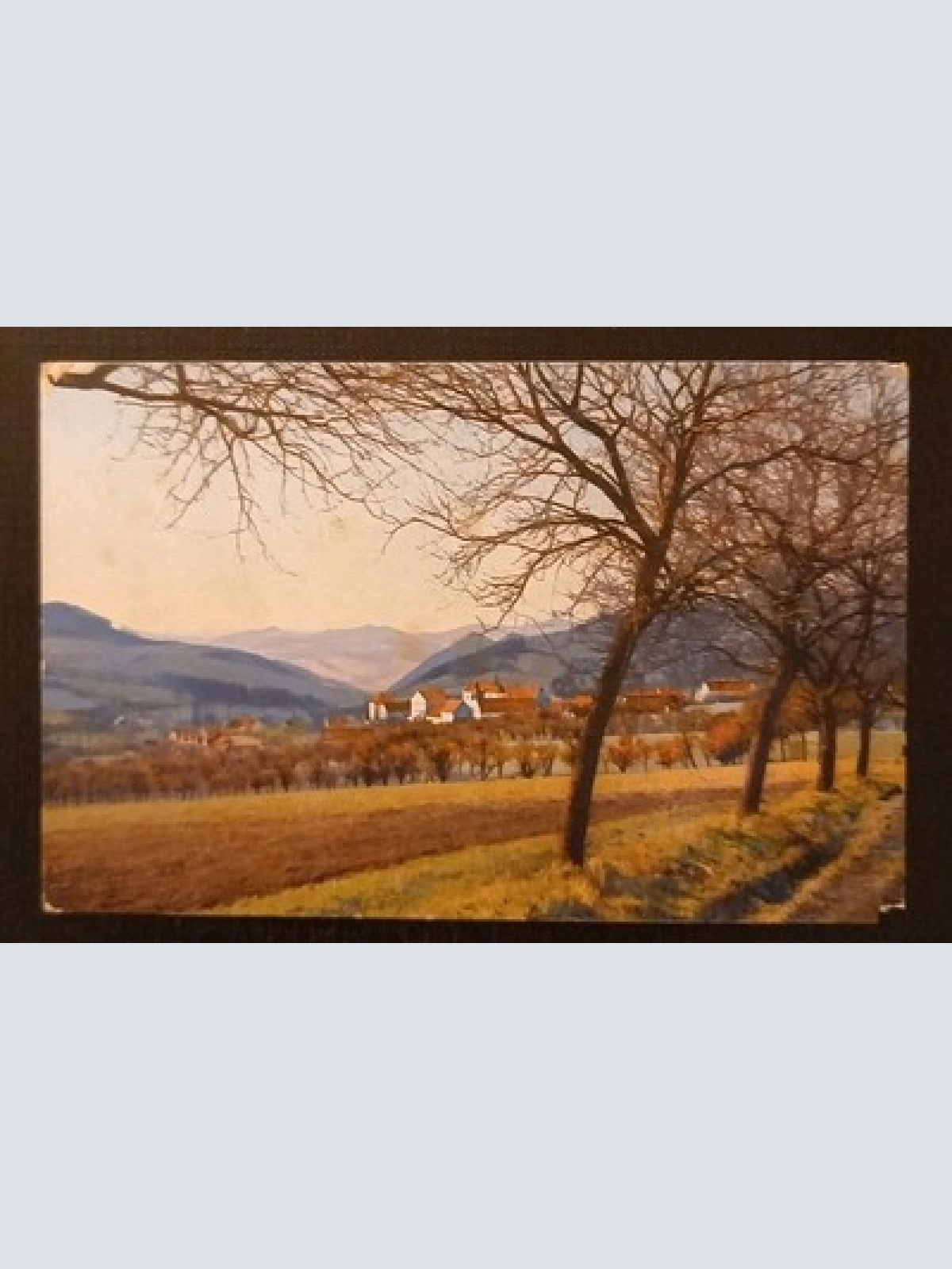 Saalfelden Salzburg Gr1 J 5572