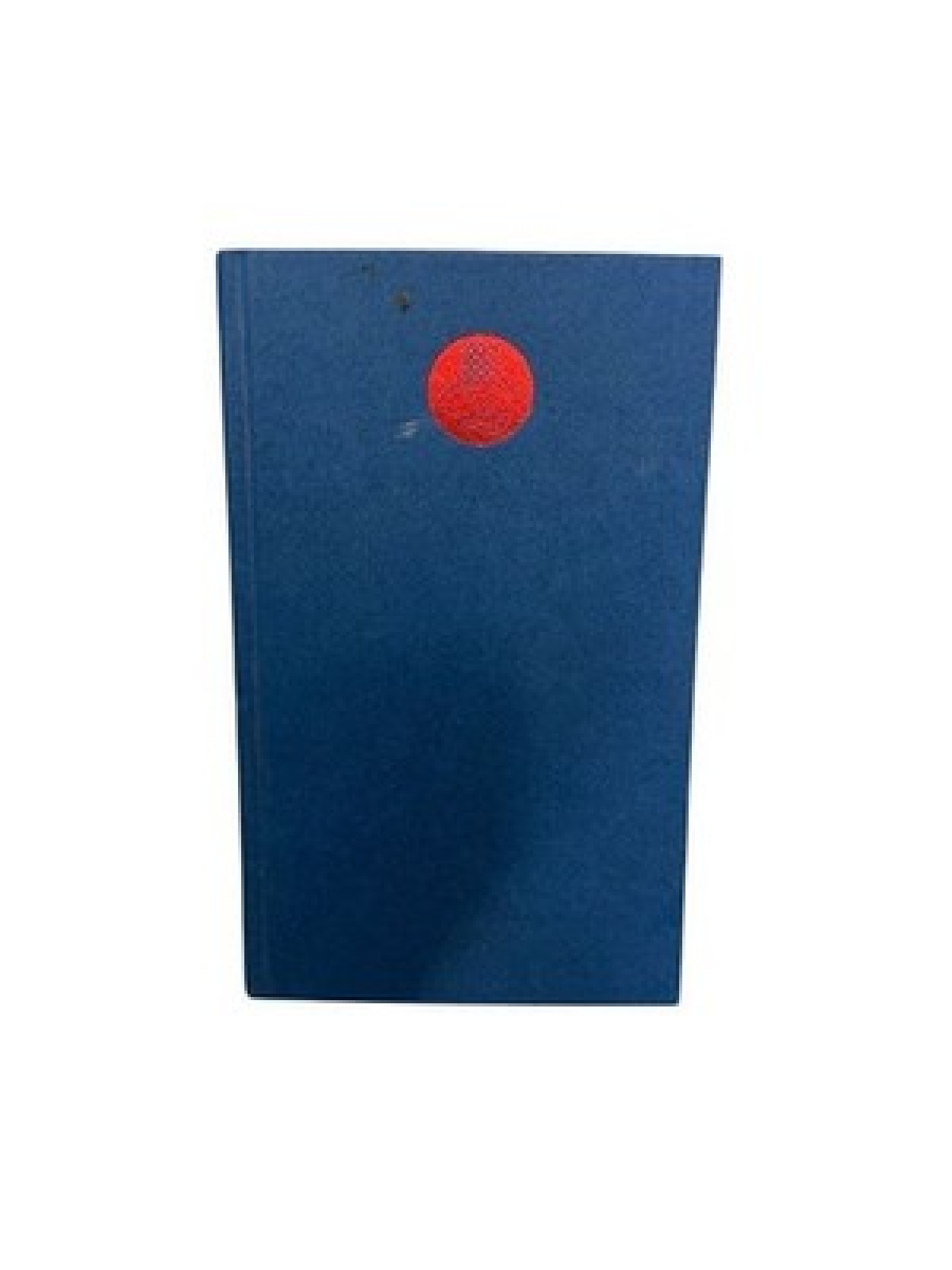 Hundert chassidische Geschichten Martin Buber. Nachw. von Paul Mendes-Flohr