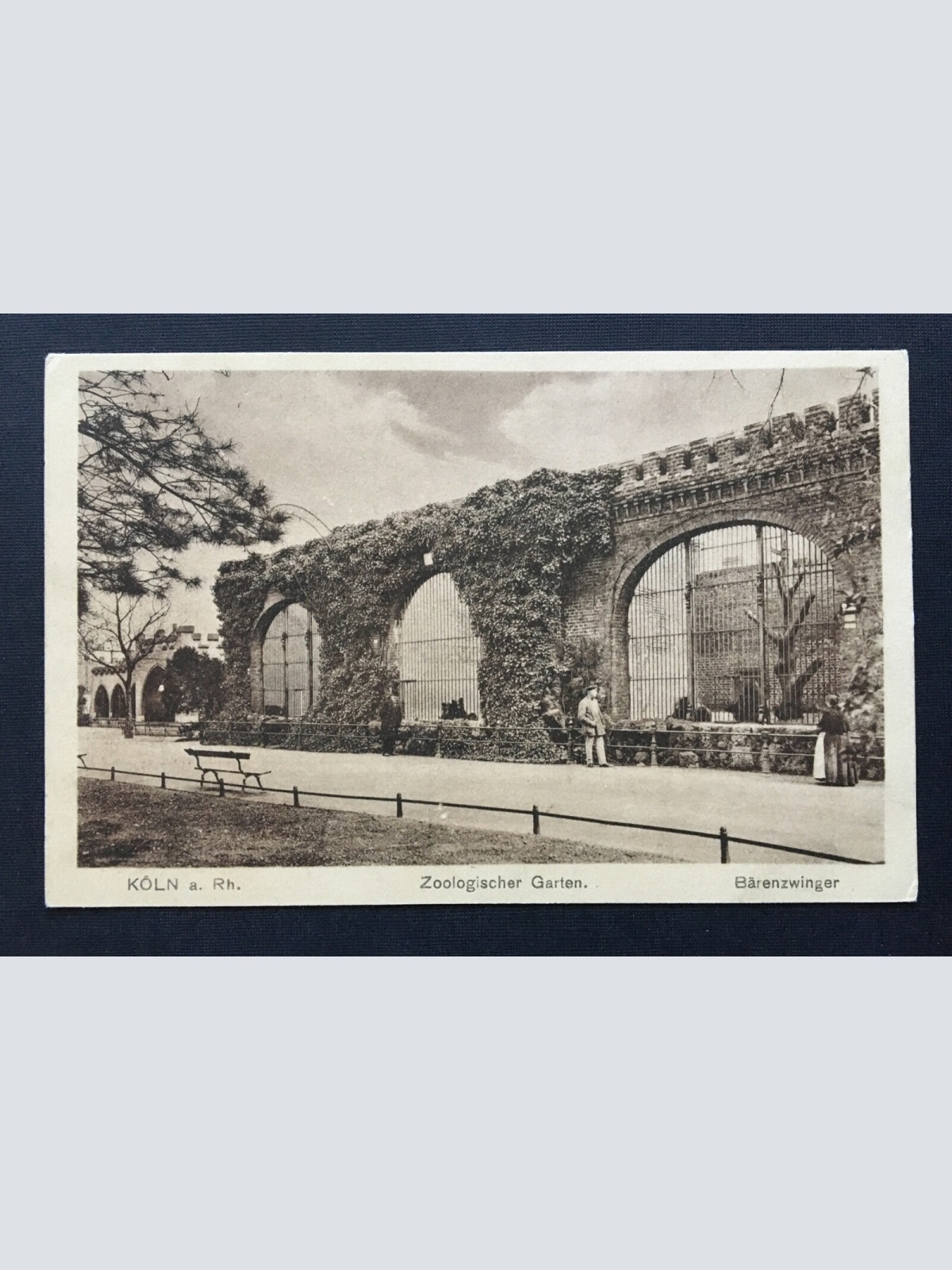 Köln Rhein Zoologischer Garten Gehege Nordrhein-Westfalen Deutschland 4006711 TH