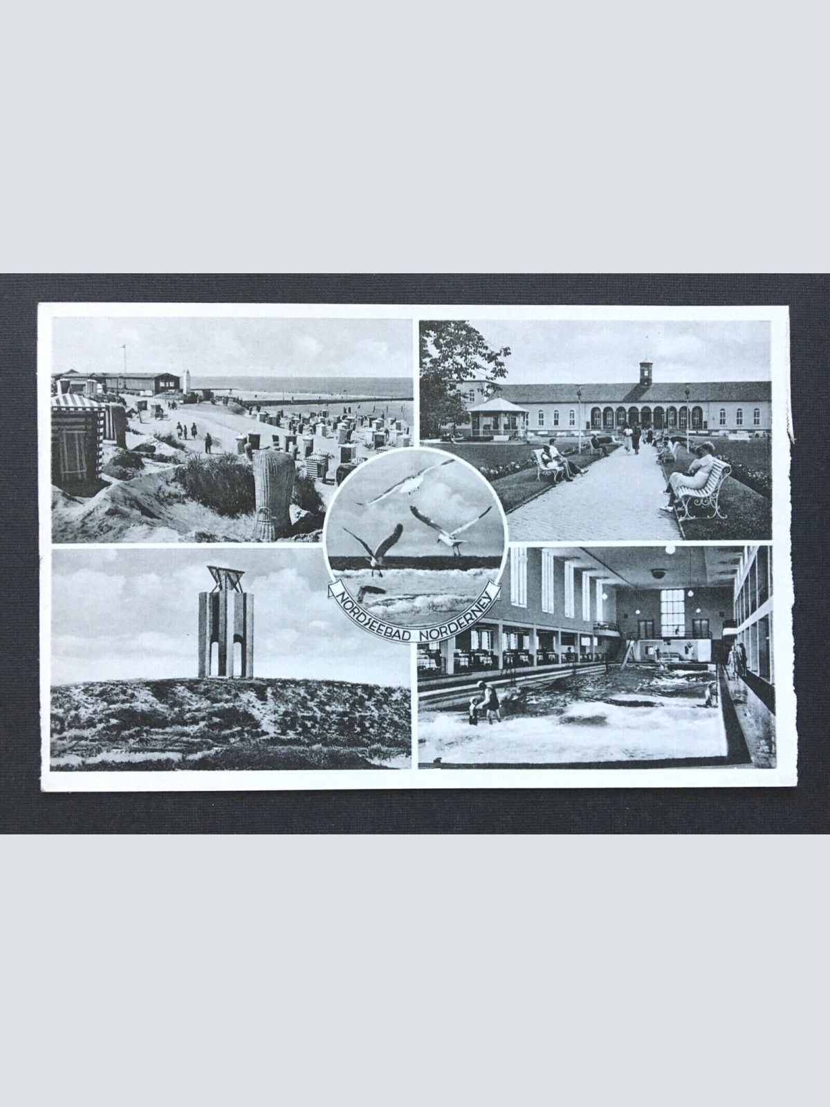 Nordseebad Norderney Collage Strand Möwen Niedersachsen Deutschland 4006651 TH