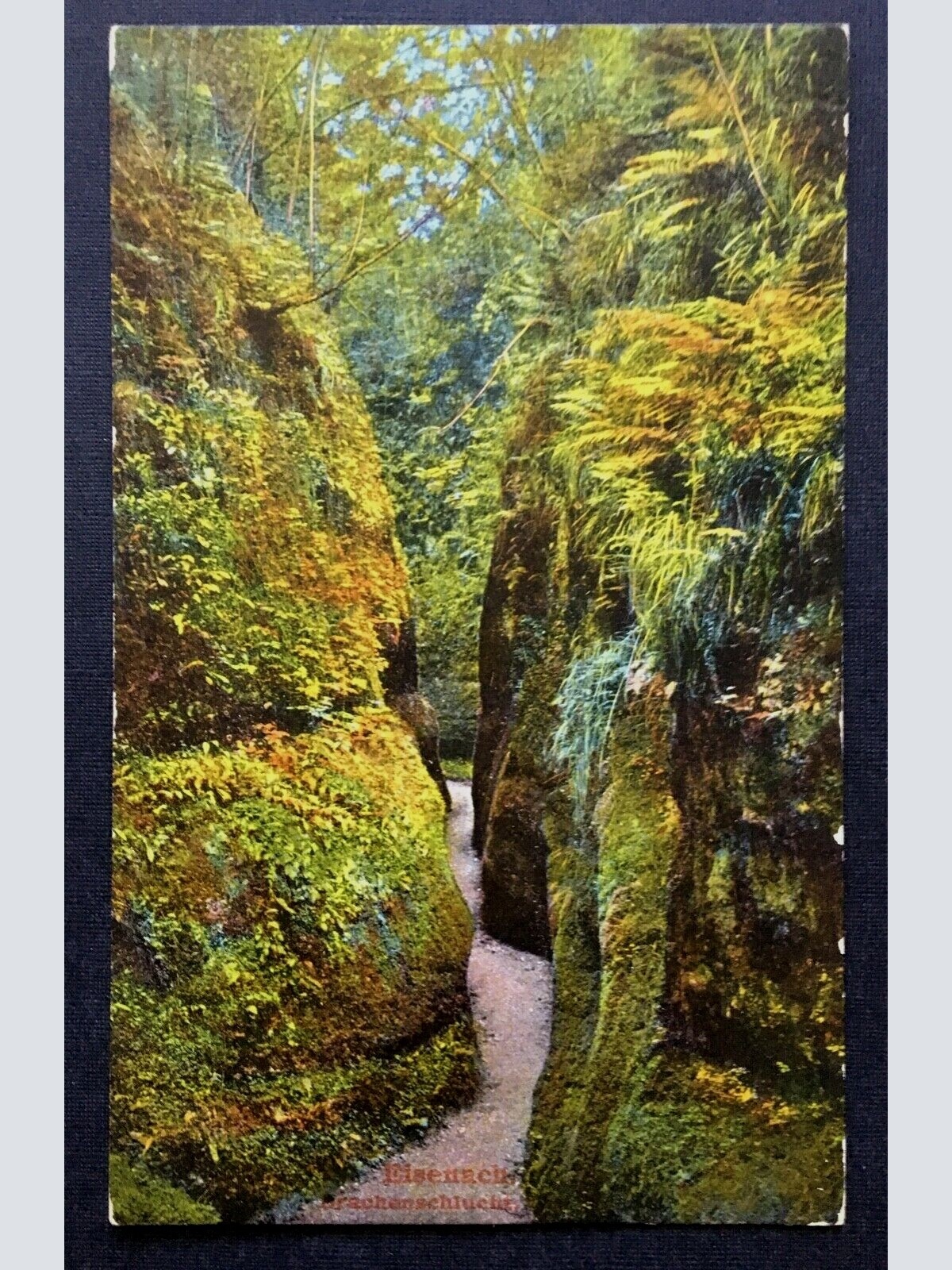 Eisenach Drachenschlucht Gestein Felsen Thüringen Deutschland 401234 TH A