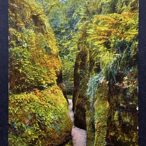 Eisenach Drachenschlucht Gestein Felsen Thüringen Deutschland 401234 TH A