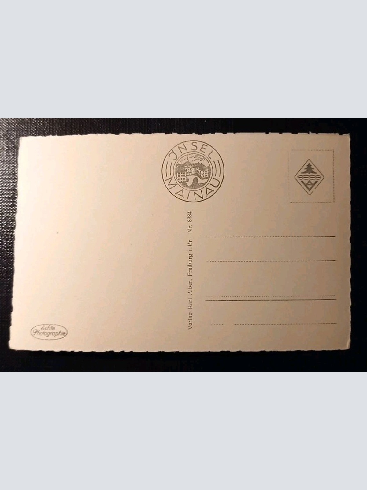 Insel Mainau Bodensee Phönixpalme 180218 H Gr